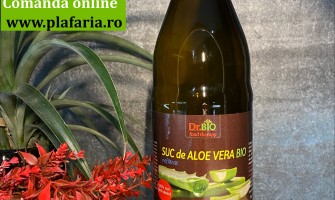 Sucul de Aloe vera – un elixir prețios din Planta Nemuririi