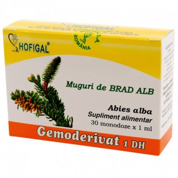 Muguri de brad alb, gemoderivat, Hofigal