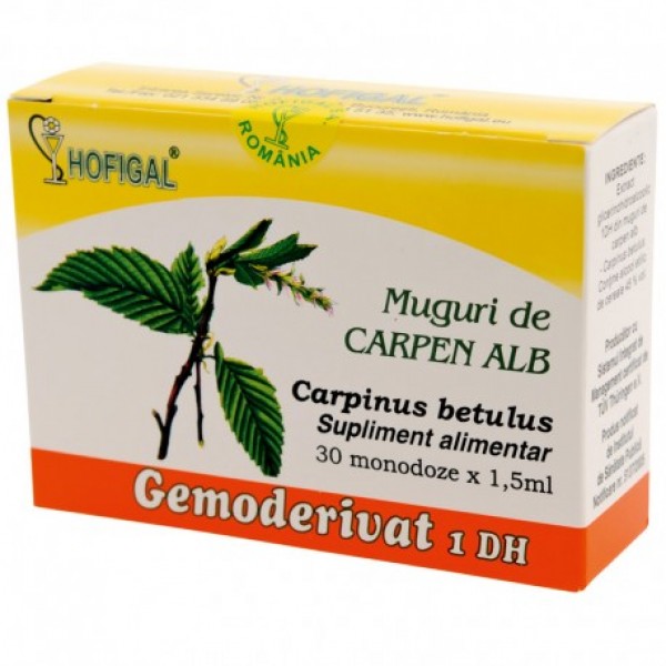 Muguri de carpen alb, gemoderivat, Hofigal