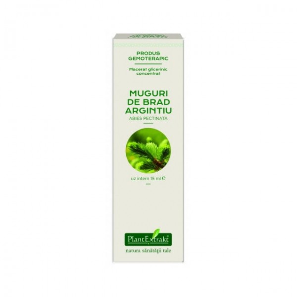 Extract din muguri de BRAD - Abies pectinata MG (concentrat), 15 ml, PlantExtrakt