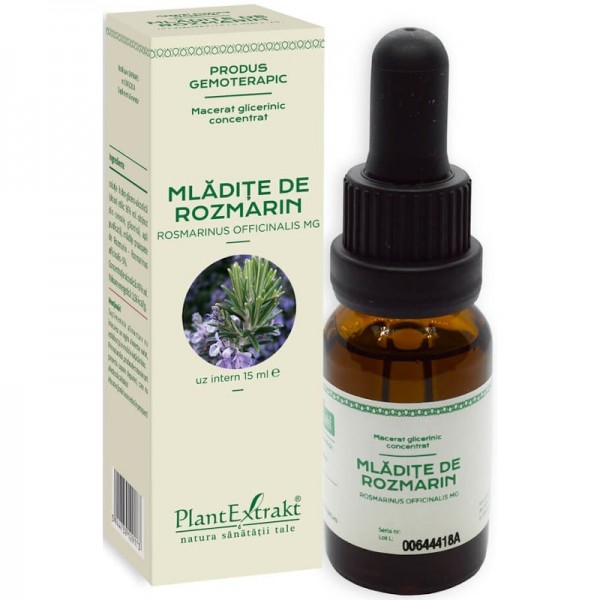 Extract din mladite de rozmarin - Rosmarinus officinalis (concentrat), 15 ml, PlantExtrakt