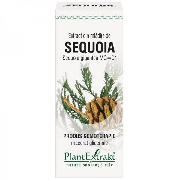 Extract din mlădiţe de SEQUOIA - Sequoia gigantea MG=D1, 50 ml, PlantExtrakt