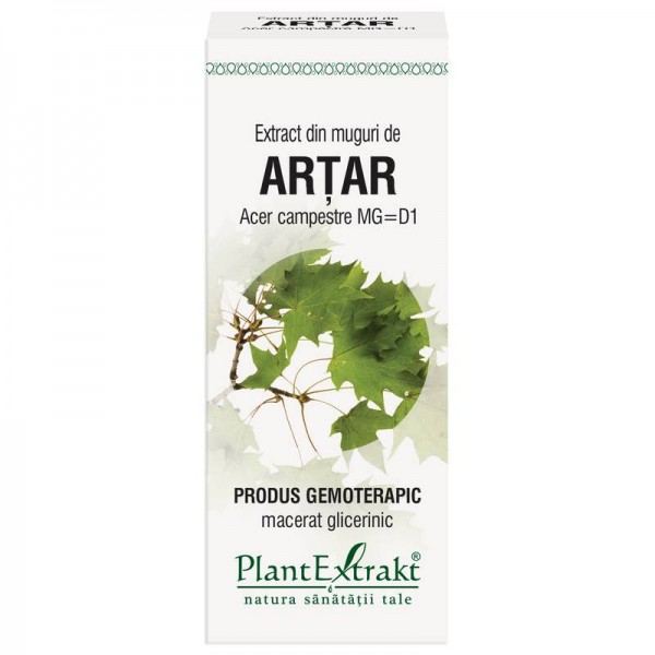 Extract din muguri de ARŢAR - Acer campestre MG=D1, 50 ml, PlantExtrakt