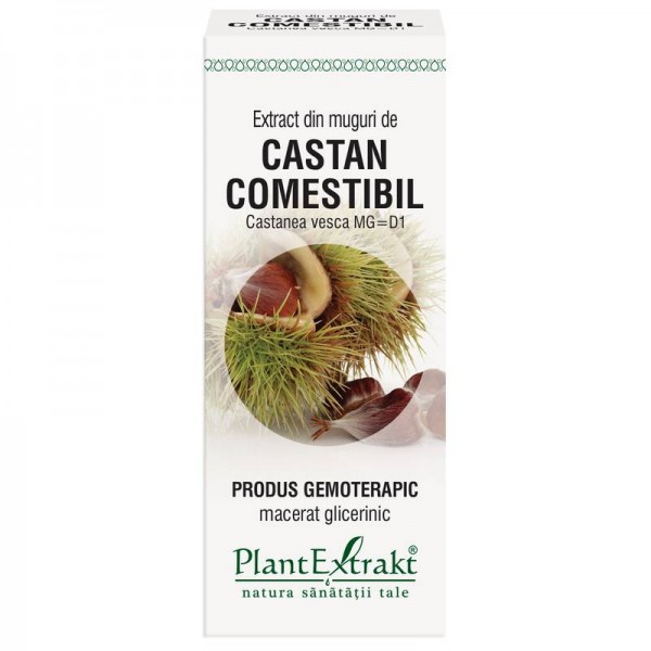 Extract din muguri de CASTAN COMESTIBIL - Castanea vesca MG=D1, 50 ml, PlantExtrakt
