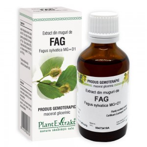 Extract din muguri de FAG - Fagus sylvatica MG=D1, 50 ml, PlantExtrakt