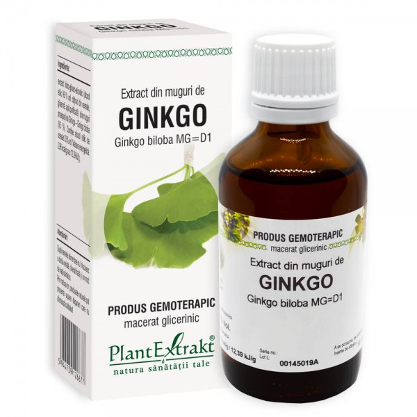 Extract din muguri de GINKGO - Ginkgo biloba MG=D1, 50 ml, PlantExtrakt