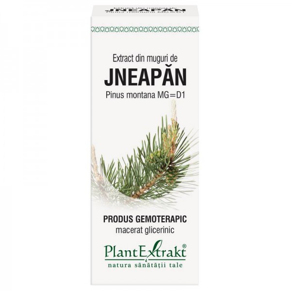 Extract din muguri de JNEAPĂN - Pinus montana MG=D1, 50 ml, PlantExtrakt