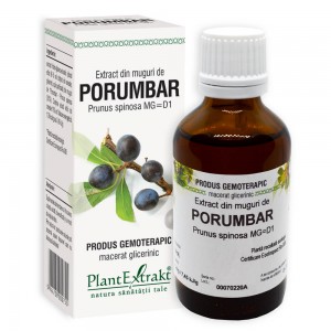 Extract din muguri de PORUMBAR - Prunus spinosa MG=D1, 50 ml, PlantExtrakt