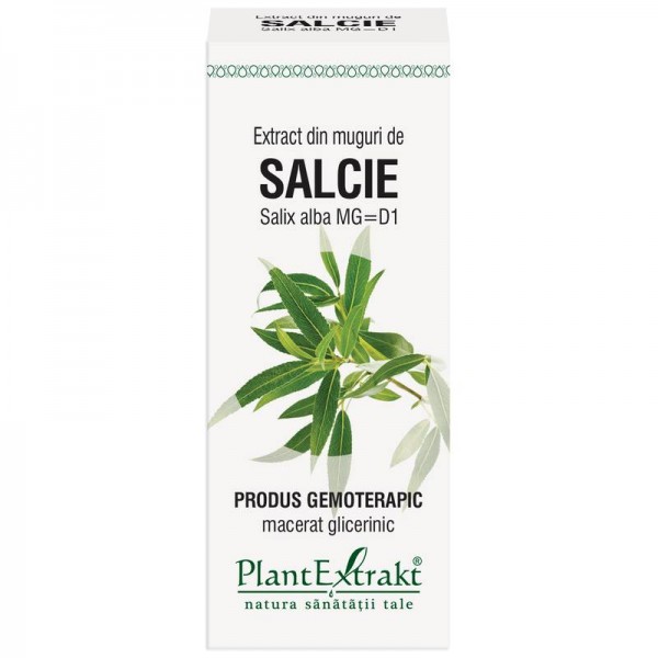 Extract din muguri de SALCIE - Salix alba gemme MG=D1, 50 ml, PlantExtrakt