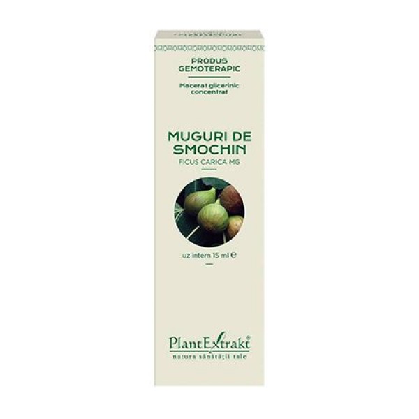 Extract din muguri de SMOCHIN - Ficus carica MG (concentrat), 15 ml, PlantExtrakt
