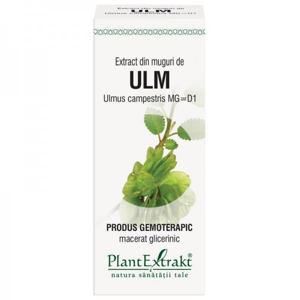 Extract din muguri de ULM - Ulmus campestris MG=D1, 50 ml, PlantExtrakt