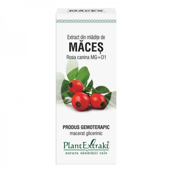 Extract din mlădiţe de MĂCEŞ - Rosa canina MG=D1, 50 ml, PlantExtrakt