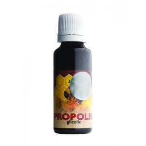 Propolis Glicolic picaturi, 30 ml, Parapharm